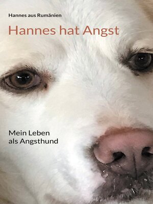 cover image of Hannes hat Angst